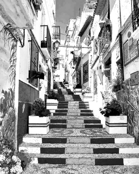 Alicante white&black city