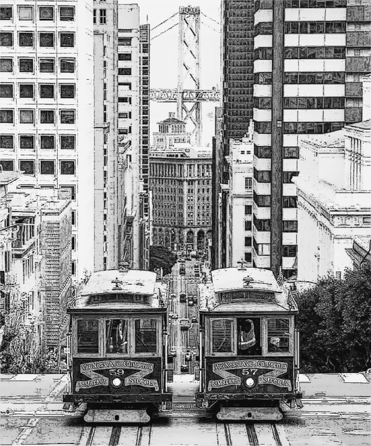 San Francisco white&black city